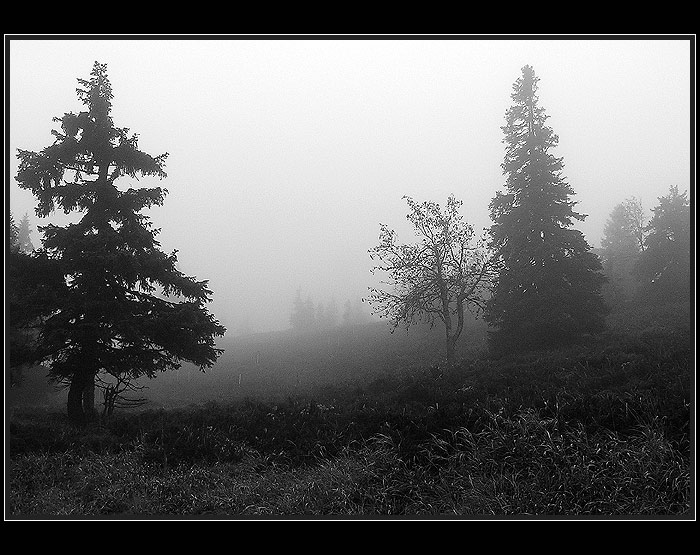 Smutná krajina