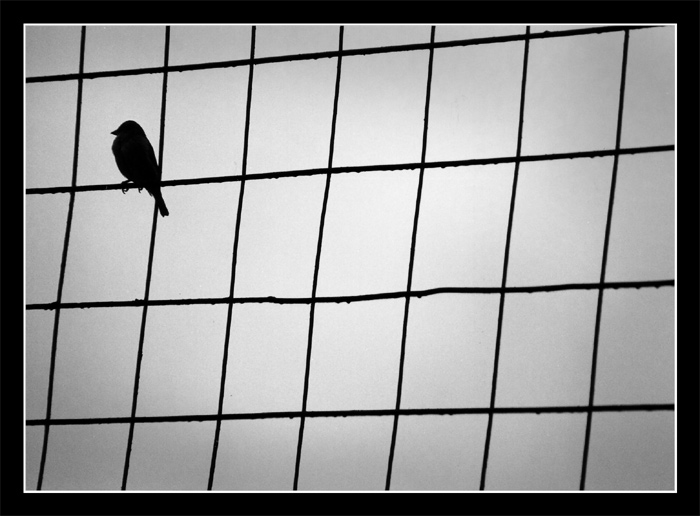 všichni jsou už v mexiku