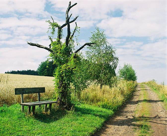Agronomická observatoř