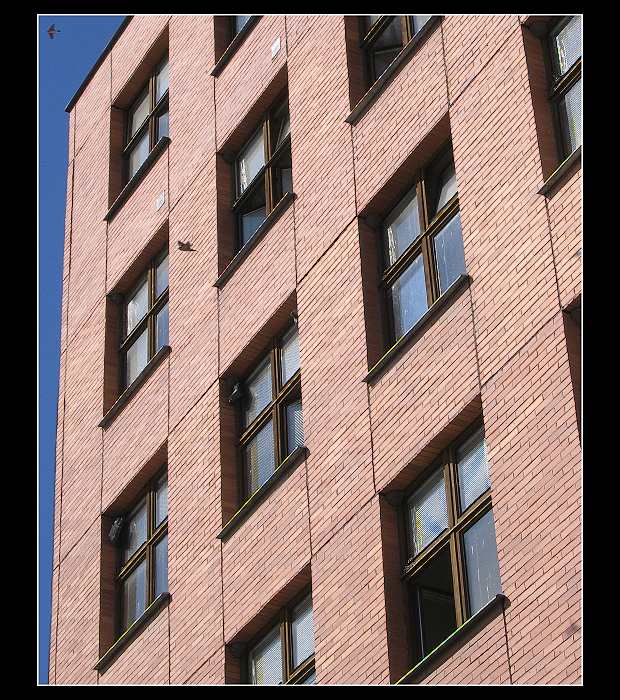 Jedna vlaštovka podzim nedělá..