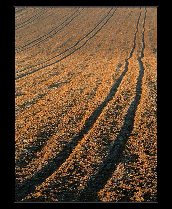 .:::Podzimní Diagonála:::.