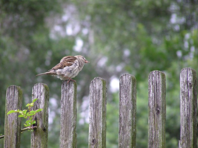 Mam to pod kontrolou..