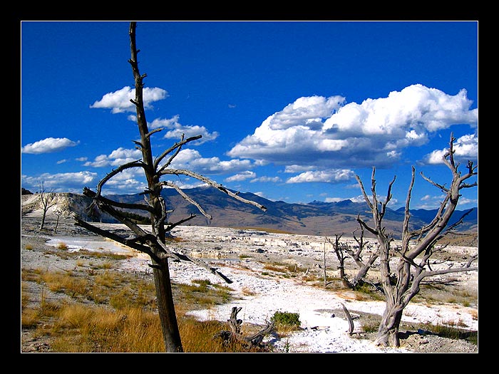 Yellowstonský národní park