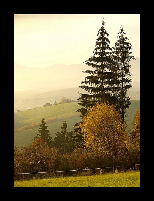<b><u>*****Háj*****</b></u> </a></span><br>