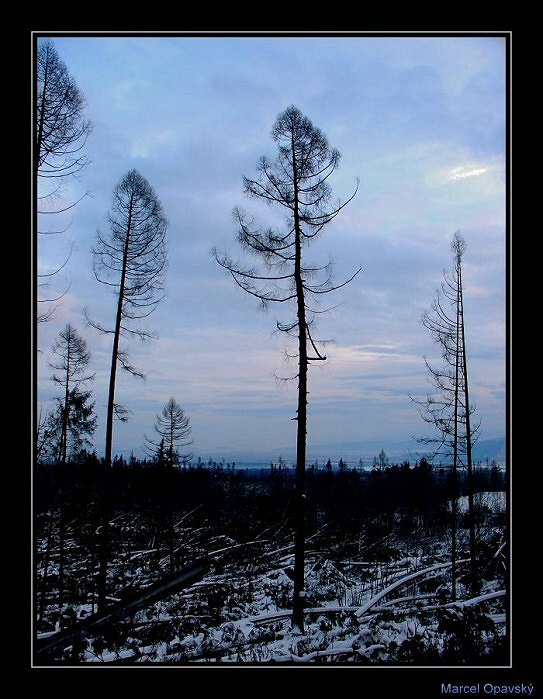 <b><u>*****Tatry po smršti*****</b></u> </a></span><br>