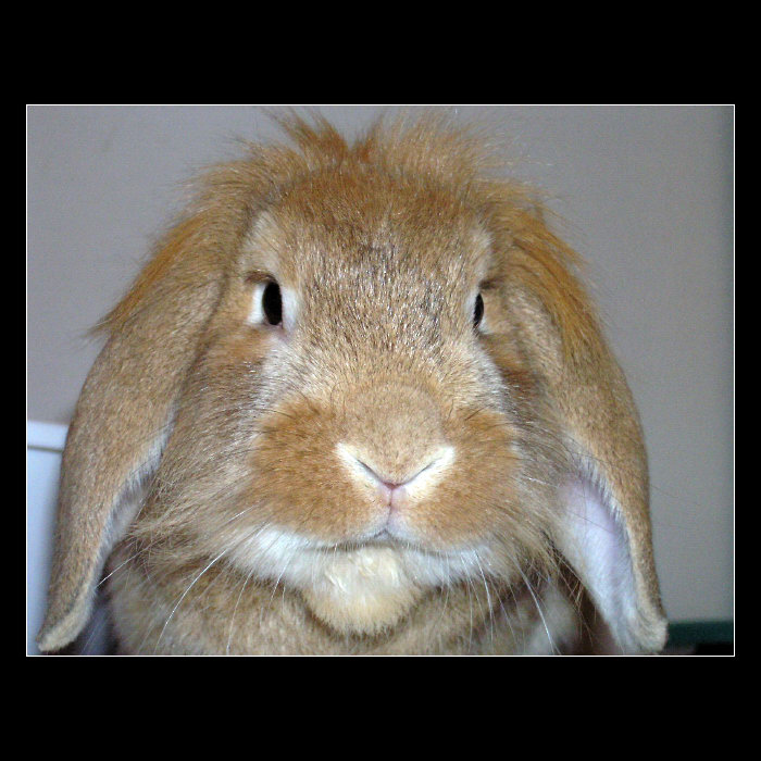 Chundeláček