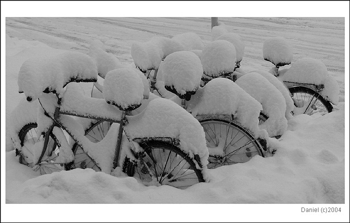 O tom, jak mé čínské spolužáky prekvapil první sníh...