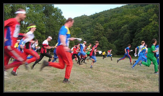Vzhůru do lesa
