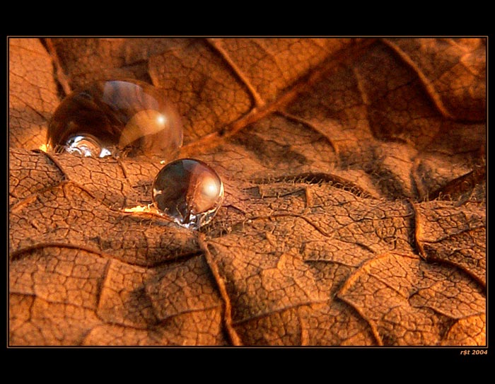 Magic of water