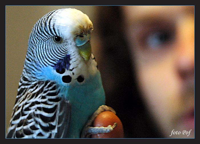 Pepa