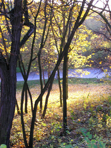Modrý podzim
