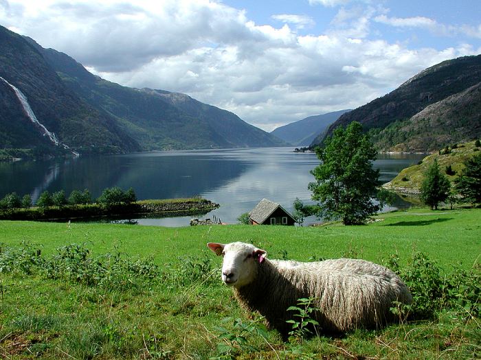 Rozloučení s fjordy