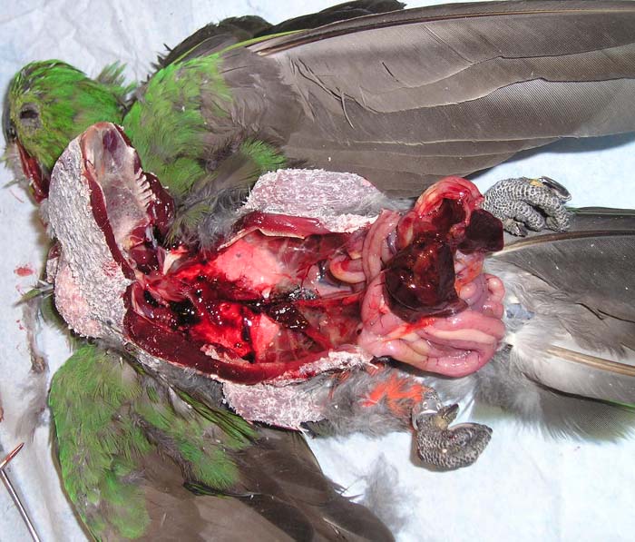 Interiér je také důležitý