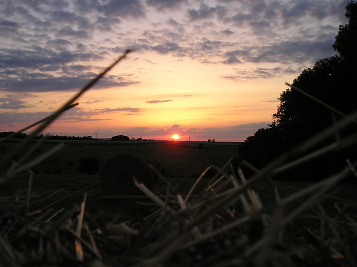 Klasika od "úchyla" s papouškem