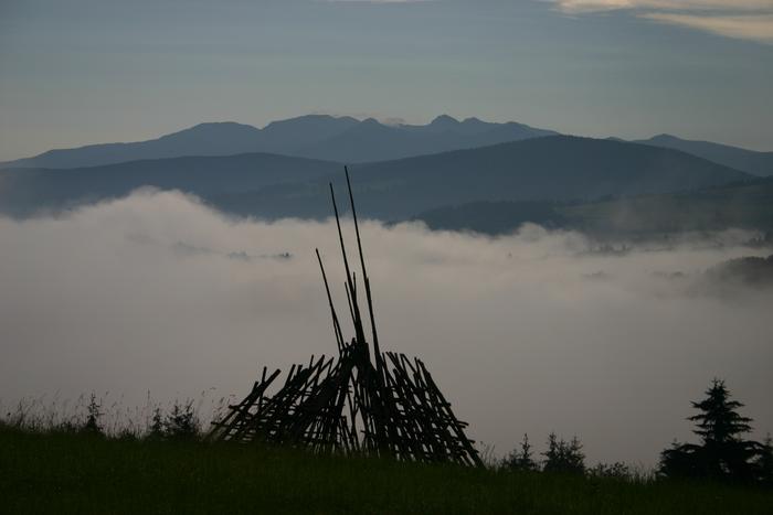 Inverzia