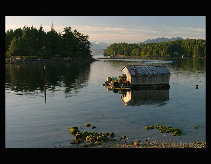 Tofino
