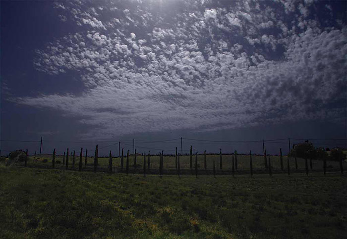 Moonlight lights