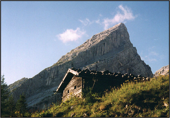 Kleine Watzman
