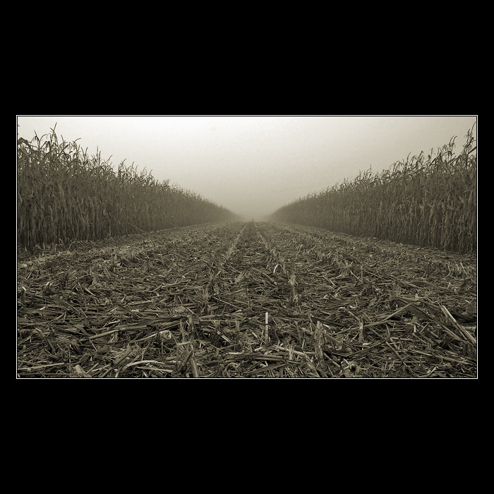 <b>* Mlhavé cíle cest *</b>