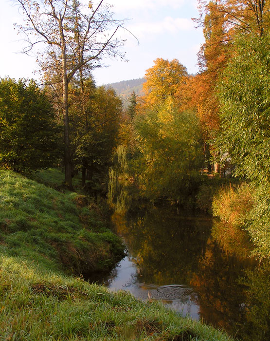 Na břehu řeky Svitavy
