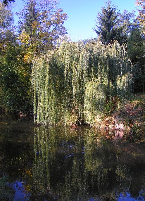 Na břehu Svitavy II.