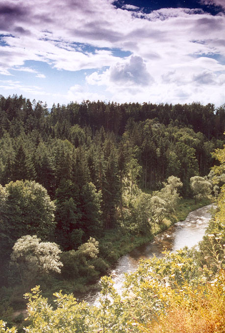 Maškovec