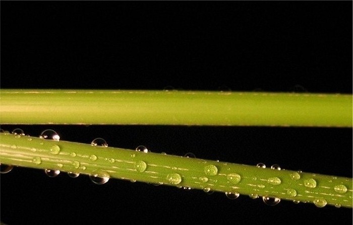 někdo má a někdo ne....