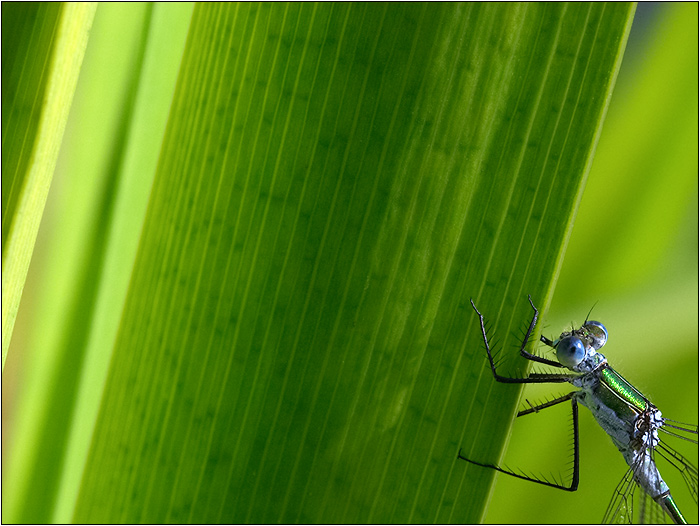 □□□ some wallpaper