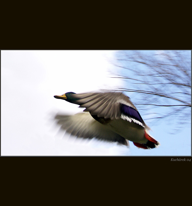 <b>Fly over...</b>