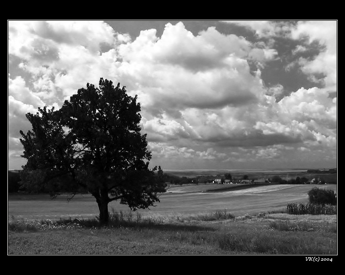 <b>letní mraková</b>