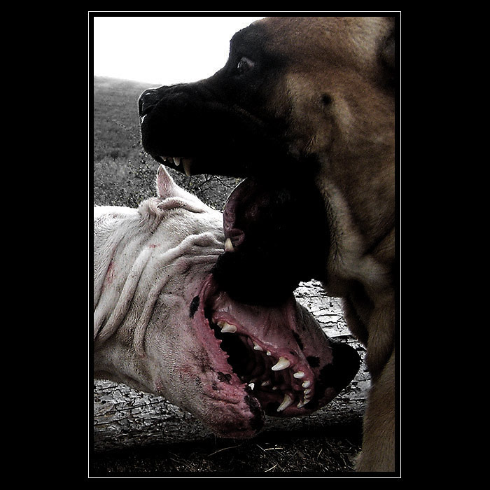 <b>.:: HRA ::.</b> <br>