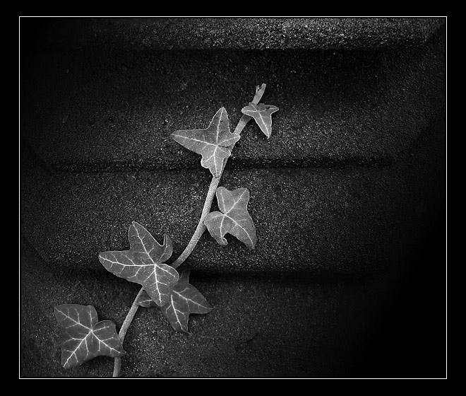 Život na diagonále