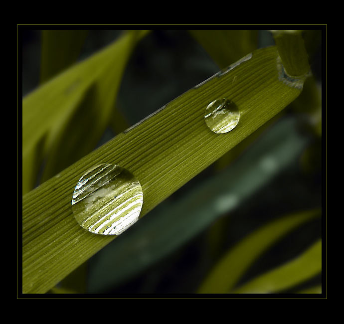 Slzy [Barevné variace I]