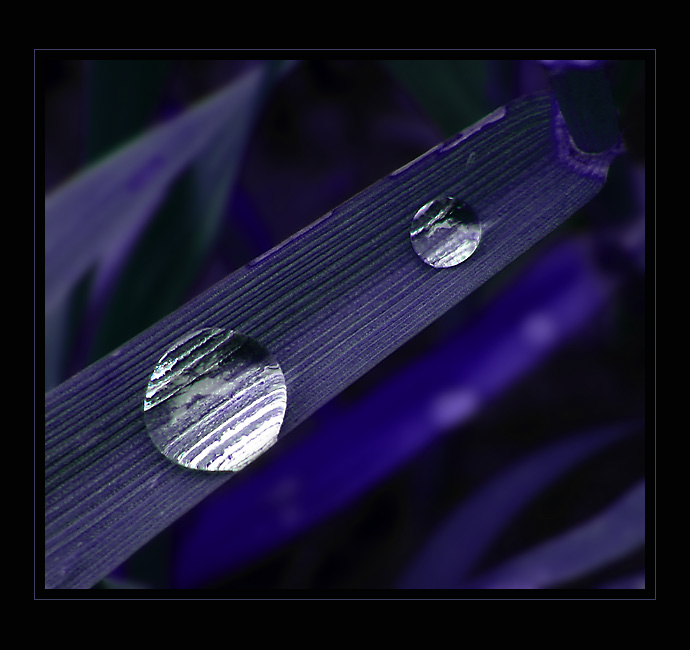 Slzy [Barevné variace II]