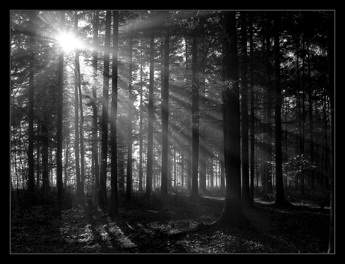 <b>...ranní paprsky...</b>