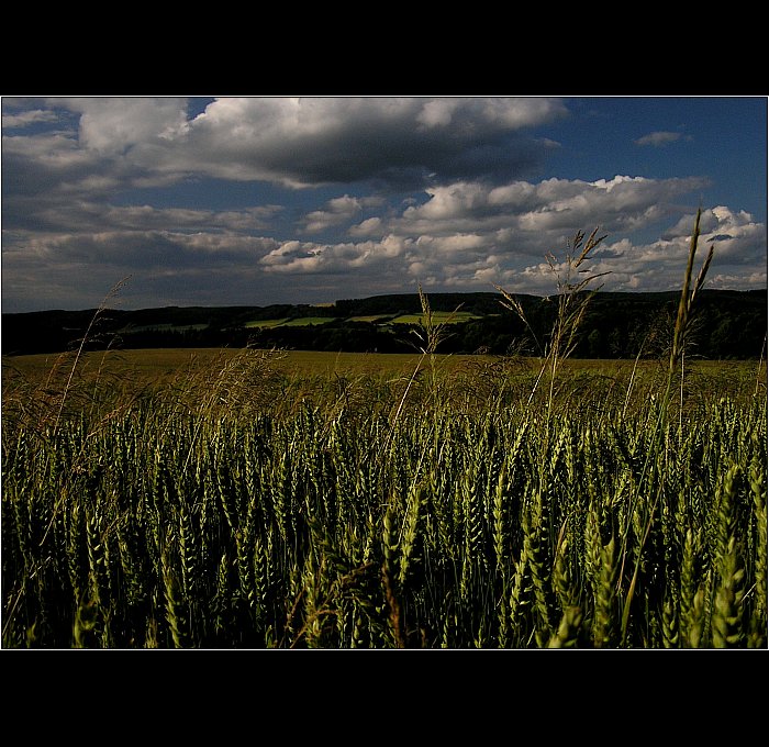 letní... II.