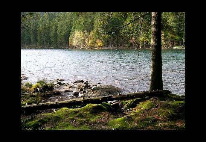 Černé jezero na Šumavě I