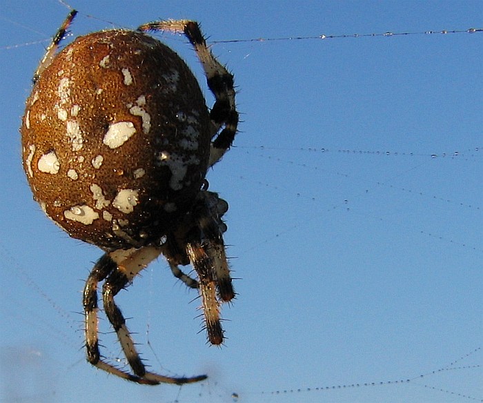 Navlékání korálků je pěkná dřina…