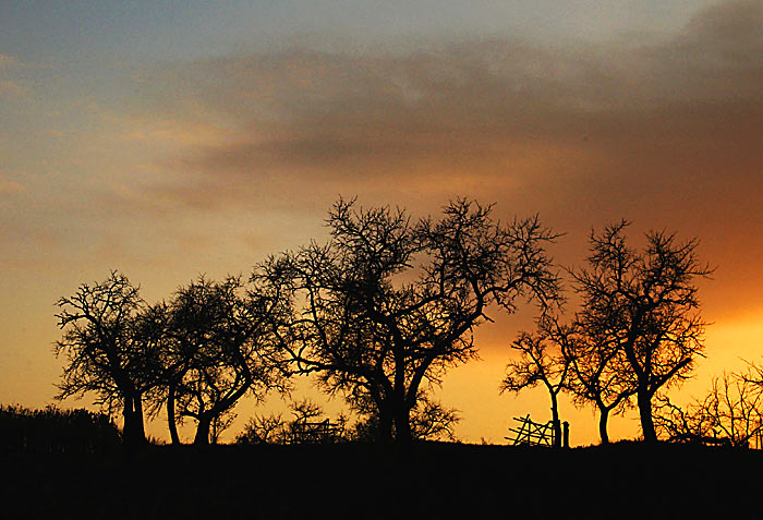 zAPAD NAD VINOHRADEM