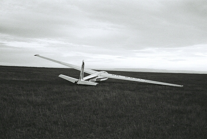 8831 alias Zuzana