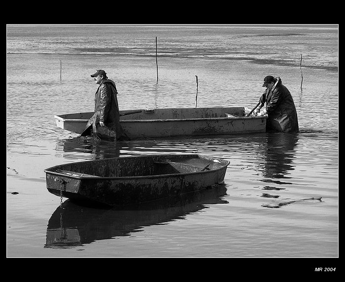 *** výlov III ***
