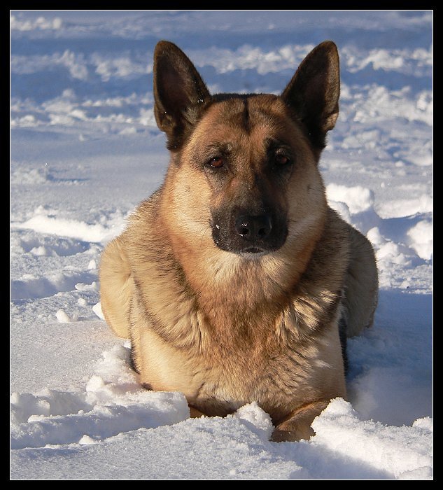 Ronja