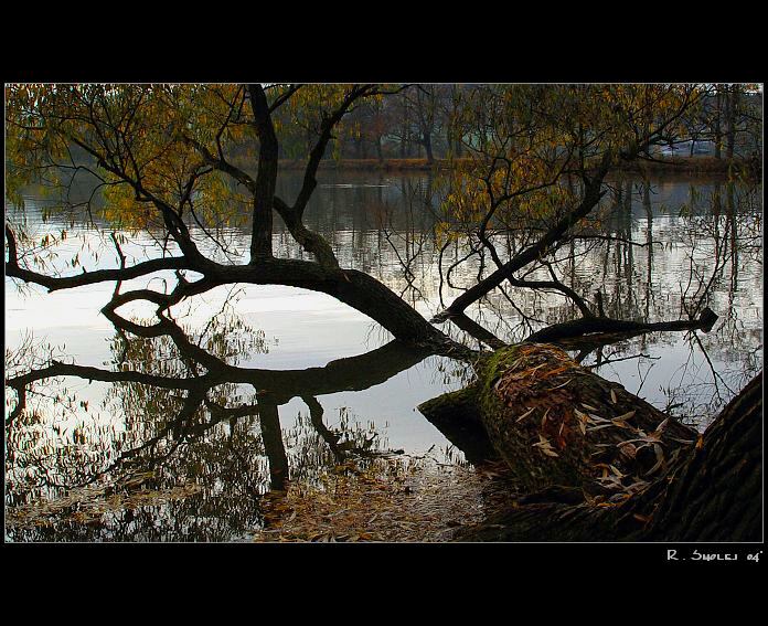 jak začaly ryby skákat ..<br><b>--u rybníka II.--</b>