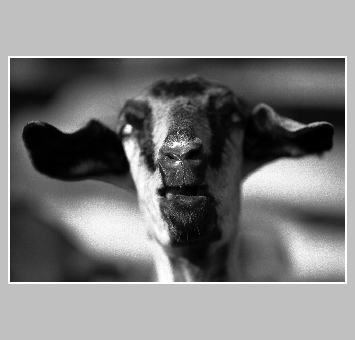 Asi bych s tím pitím měl přestat...