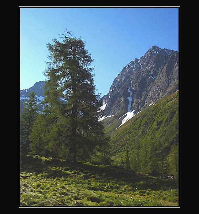 Veľké Tauery IV.  "ALPSKOU DOLINOU".....
