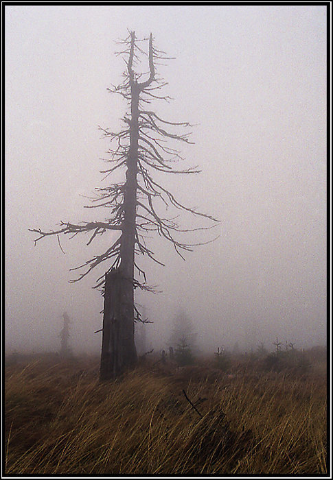Krakonošovo