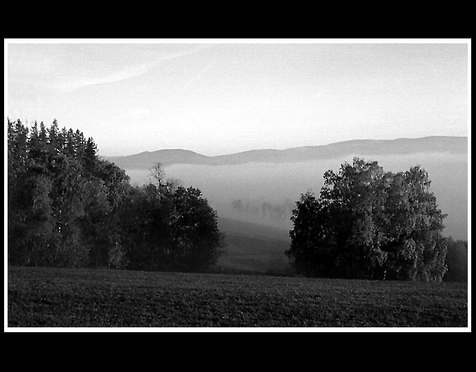 Ranní mlha ll