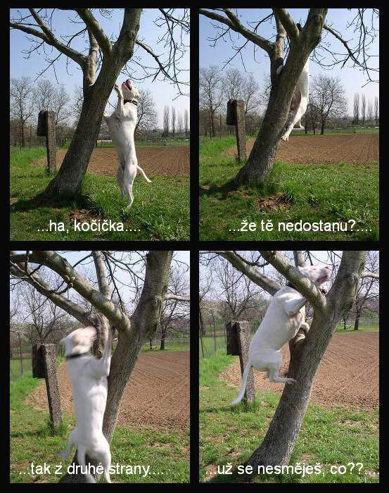 Na kočičkách..... :o))