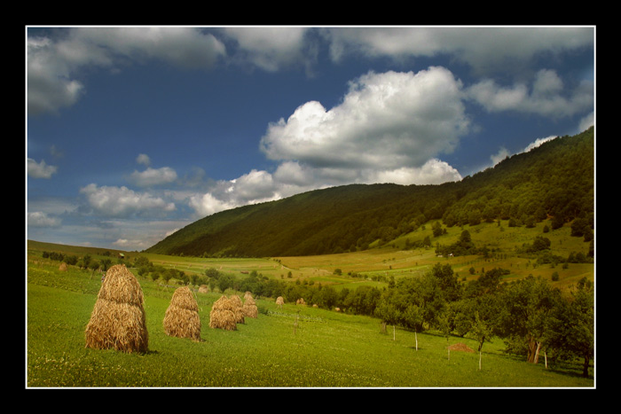 kysuce