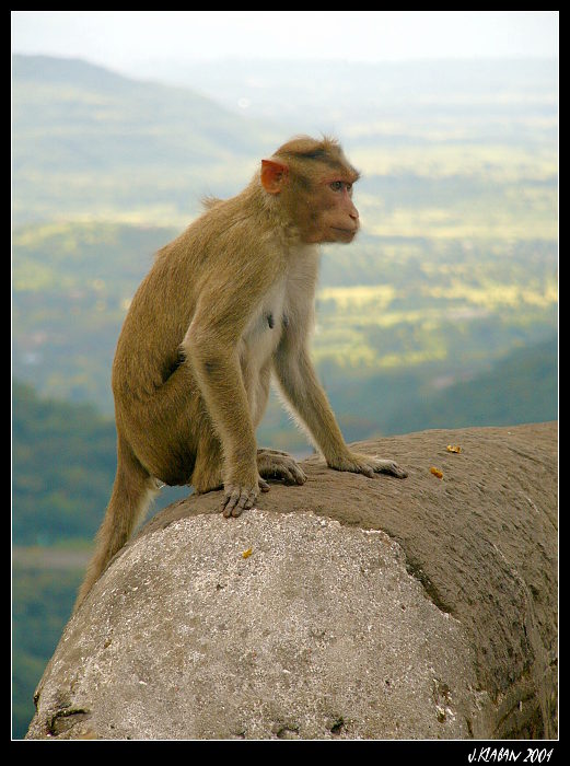 Pohled z dálky do dálky